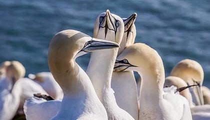 共享中国大市场的时代机遇