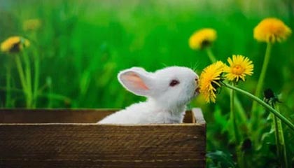 Binance 日均流入约 7,500 枚 BTC，卖压上升但价格仍稳于 10 万美元附近