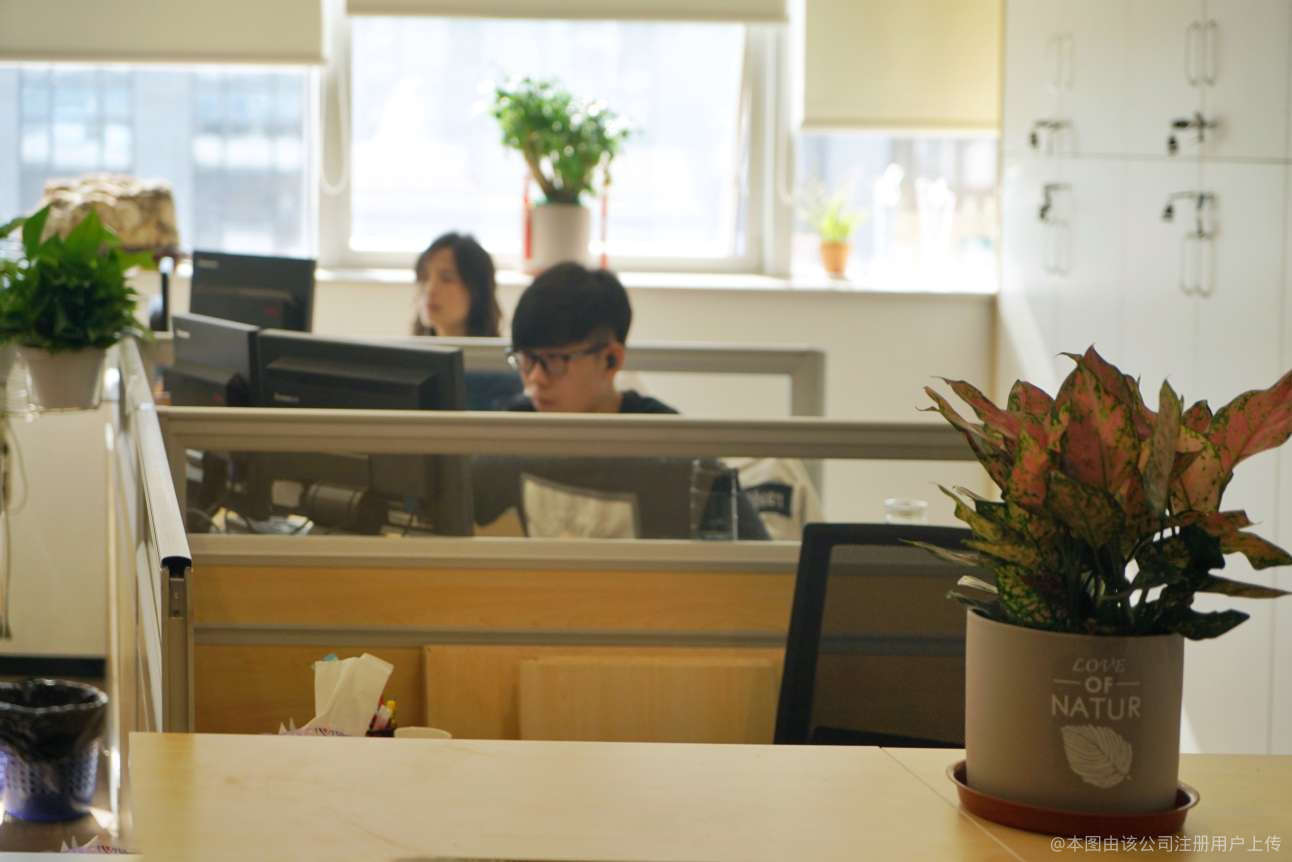 东莞证券掌证宝(东莞证券掌证宝官方下载) 东莞证券掌证宝(东莞证券掌证宝官方下载)