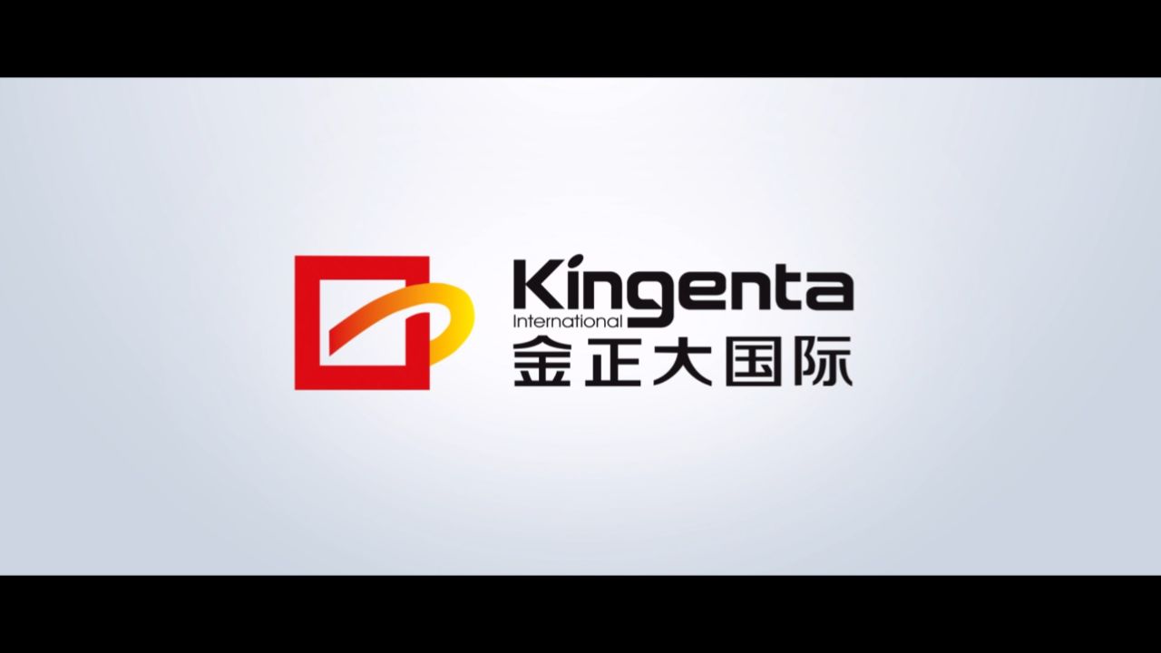 正大证券(正大证券公司简介)