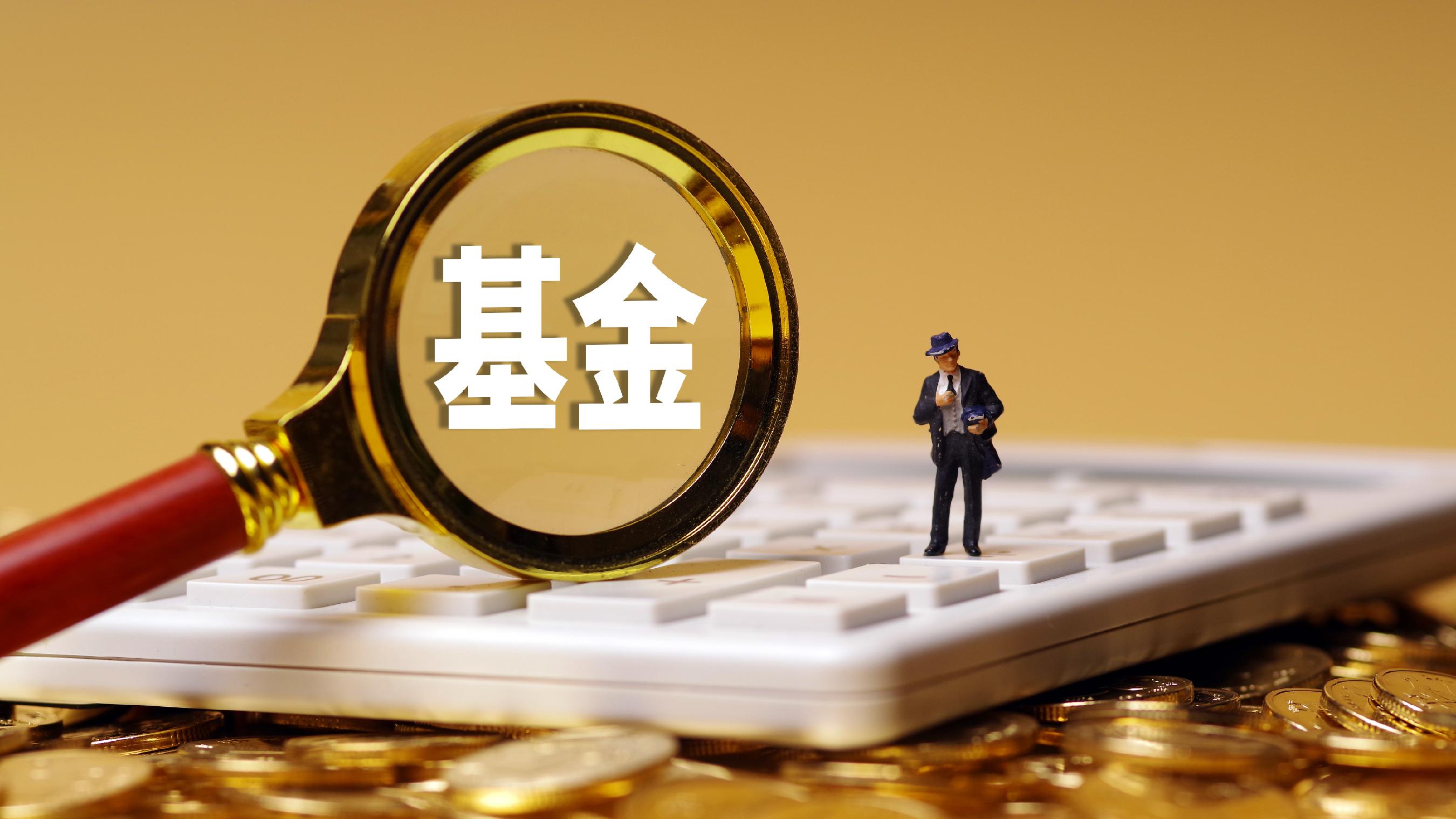 什么是证券投资基金(什么是证券投资基金的所有者) 什么是证券投资基金(什么是证券投资基金的所有者)