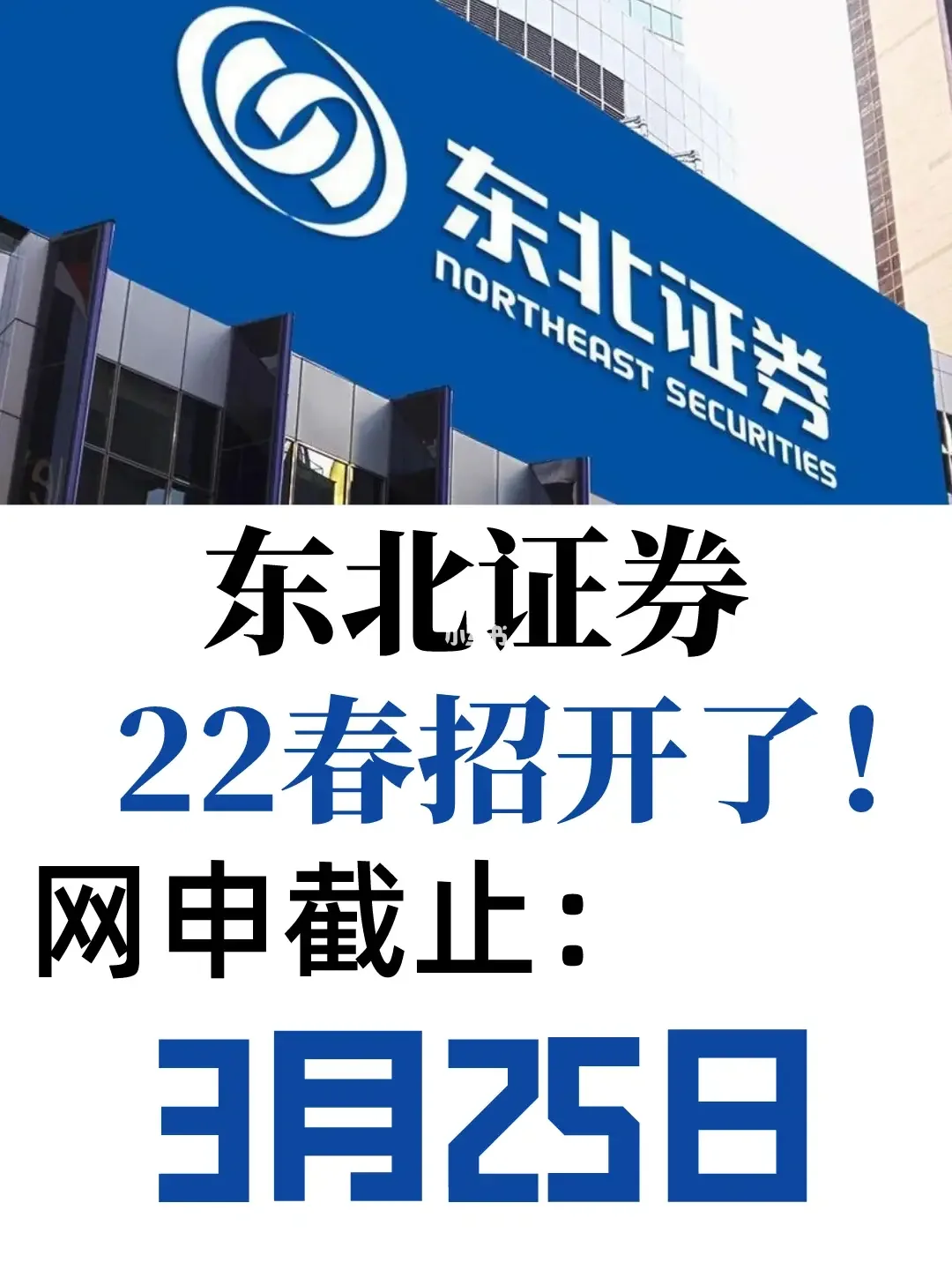 东北证券手机版(东北证券手机版官方网)