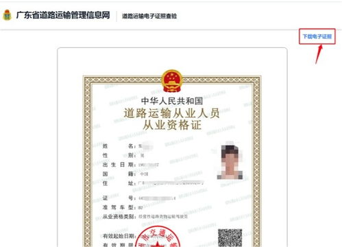 证券从业人员公示(证券从业人员公示查询平台官网首页)